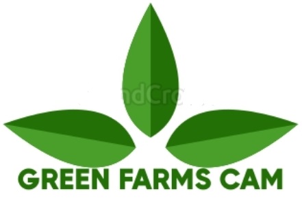 Green Farms Cam
